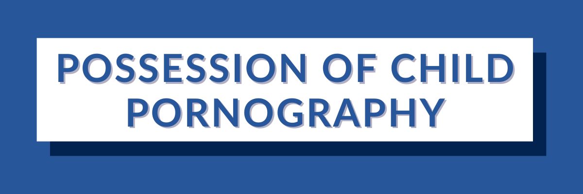 16 Possession of Child Pornography | Varghese Summersett Possession of Child Pornography