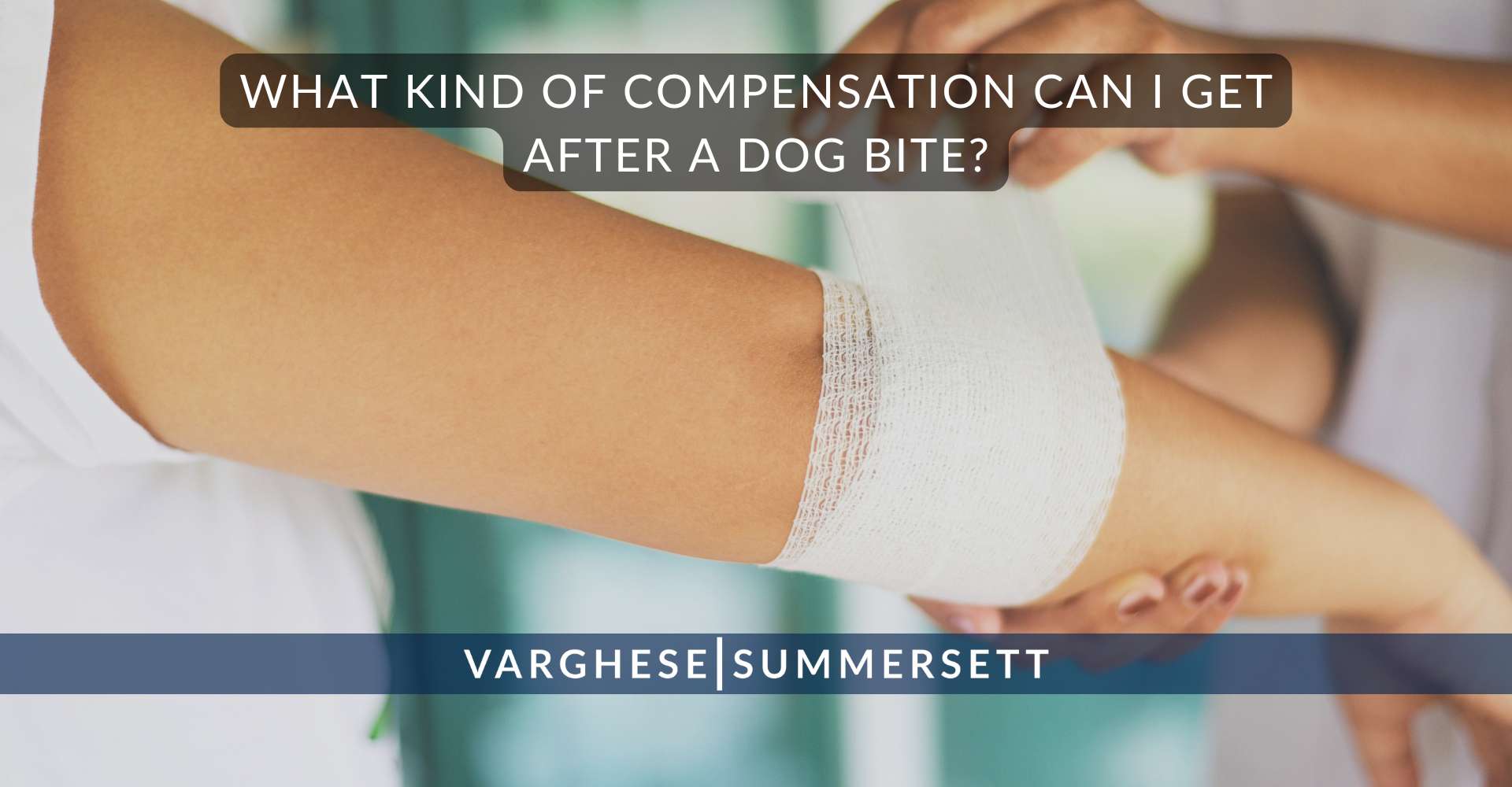 2 What Kind of Compensation Can I Get After a Dog Bite | Varghese Summersett ¿Qué tipo de indemnización puedo obtener tras la mordedura de un perro?