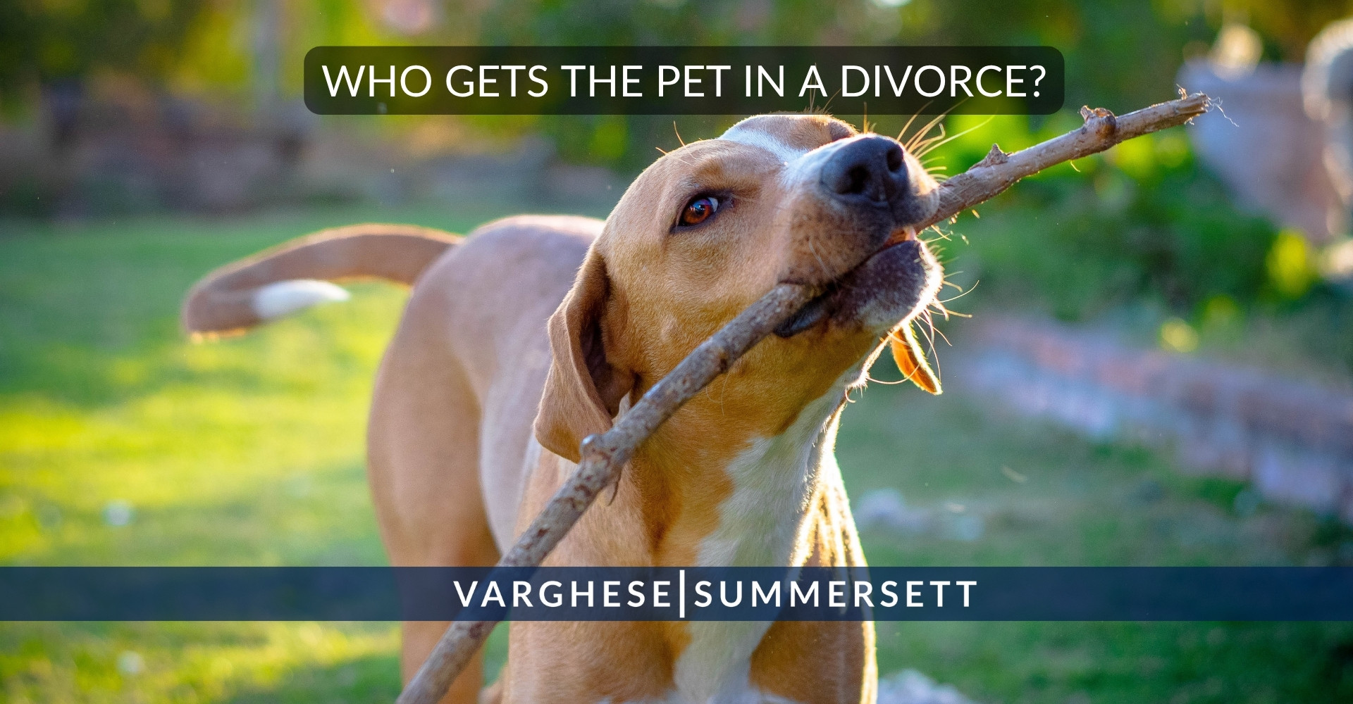 Top 100 FAQs about Texas Divorce