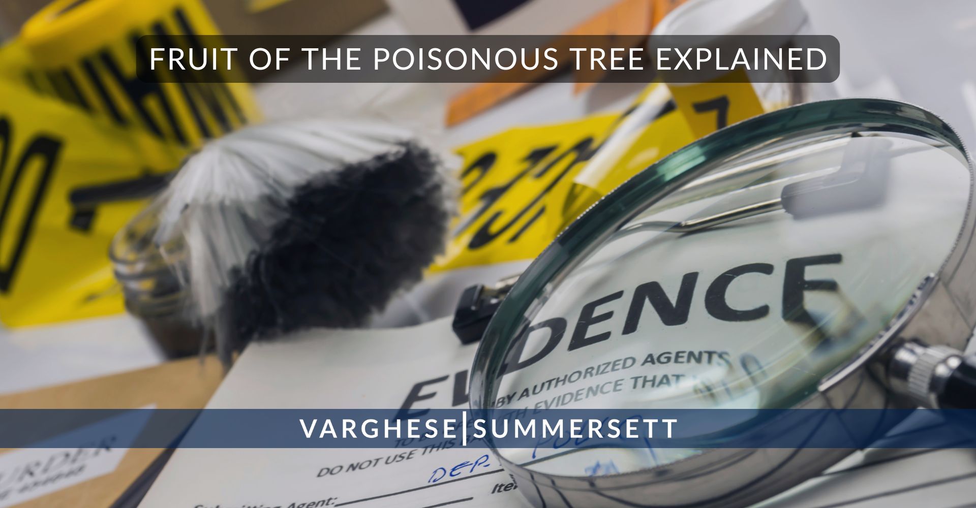 Explicación del fruto del árbol venenoso