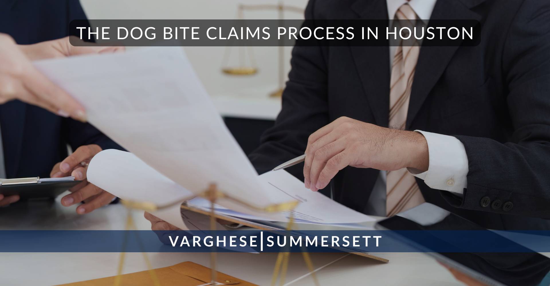 6 The Dog Bite Claims Process in Houston | Varghese Summersett El proceso de reclamación por mordedura de perro en Houston