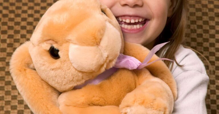 National Adoption Month | Support Our 2023 Teddy Drive