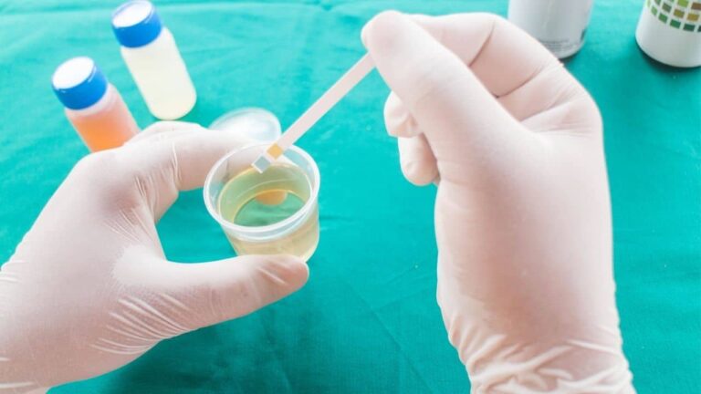 Drug Testing in Child Custody Cases: What You Need to Know