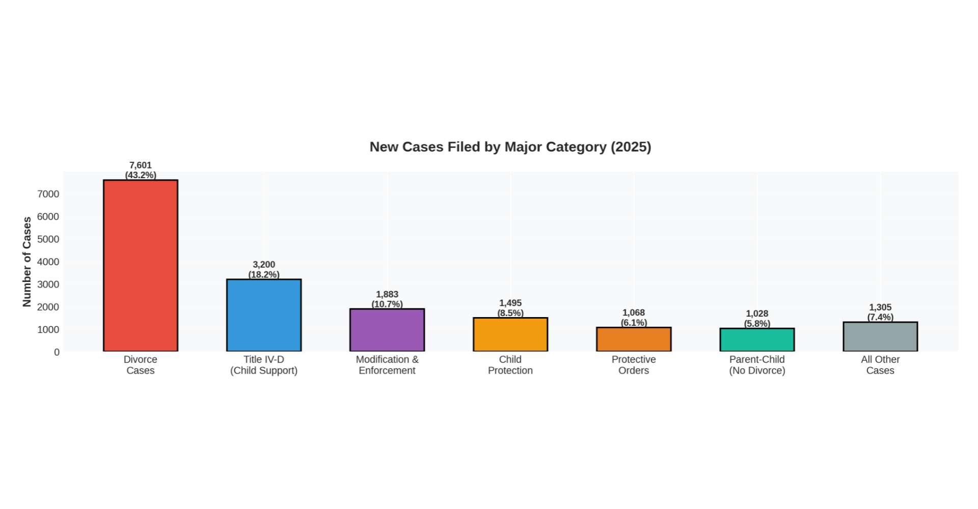 New Cases Filed by Major Category (2025)