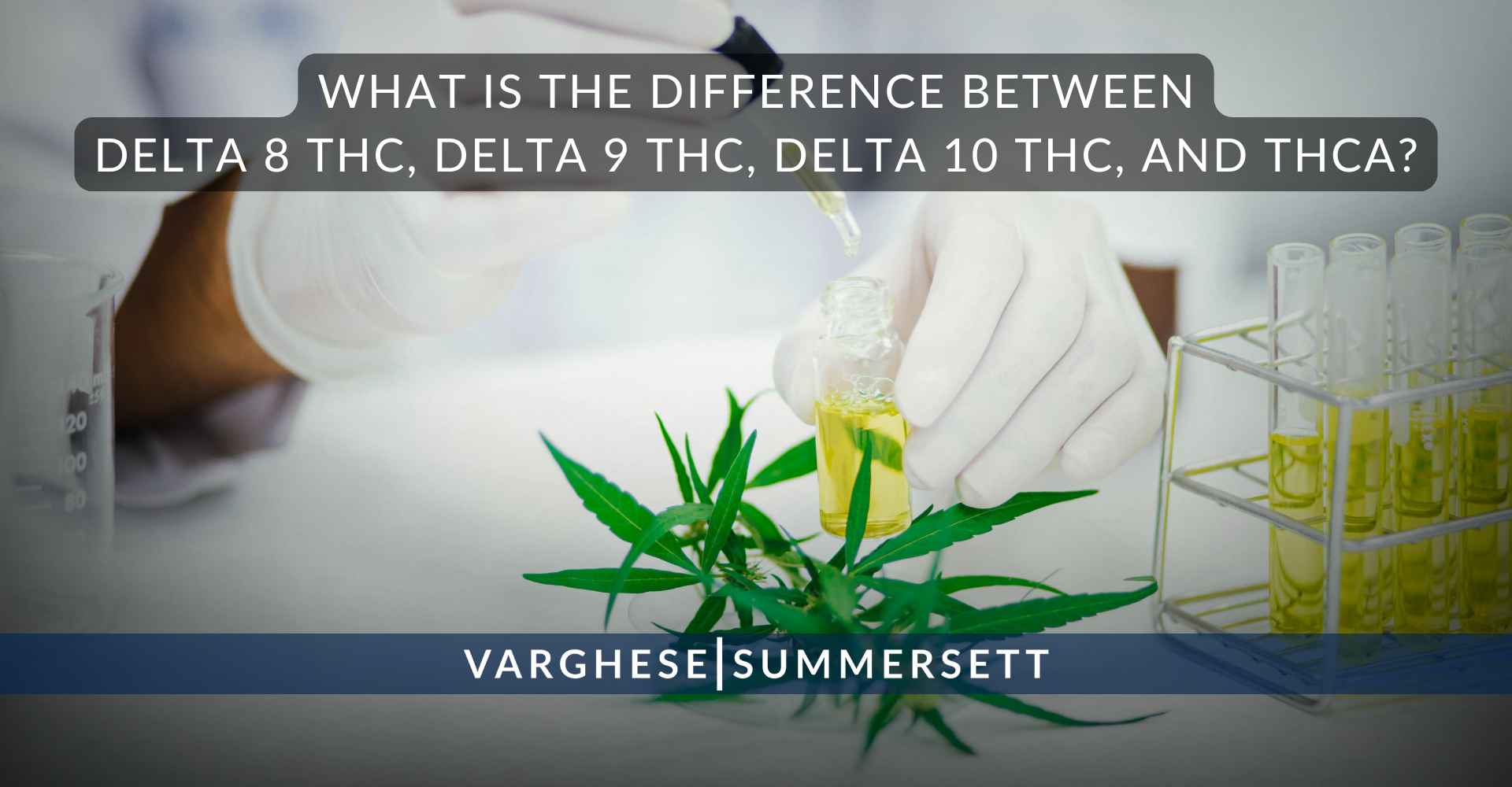 What is the difference between Delta 8 THC, Delta 9 THC, Delta 10 THC, and THCA?