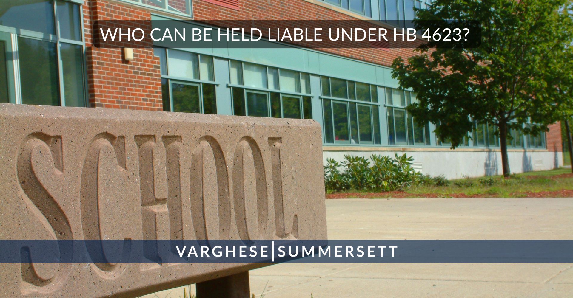 Who Can Be Held Liable Under HB 4623?