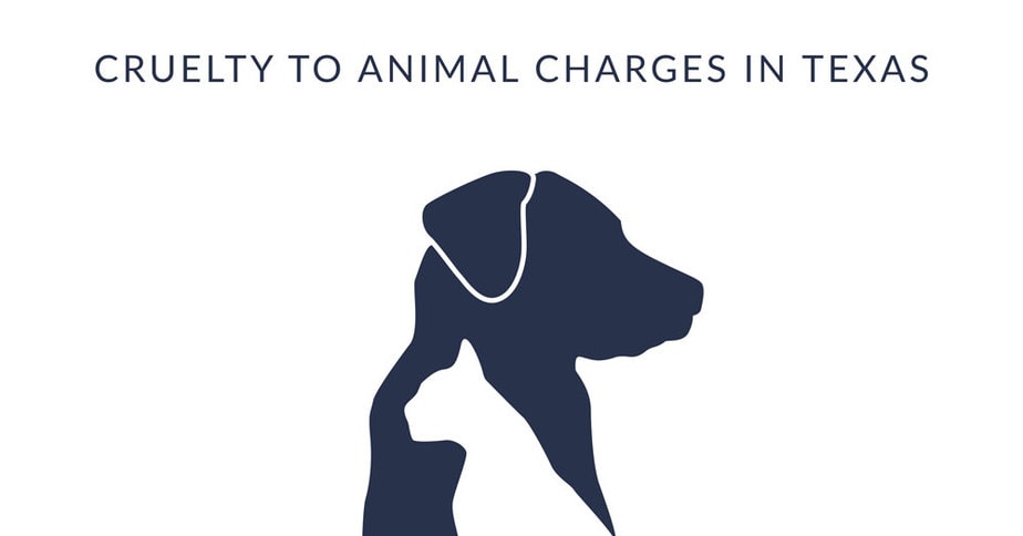 cruelty-to-animal-chages