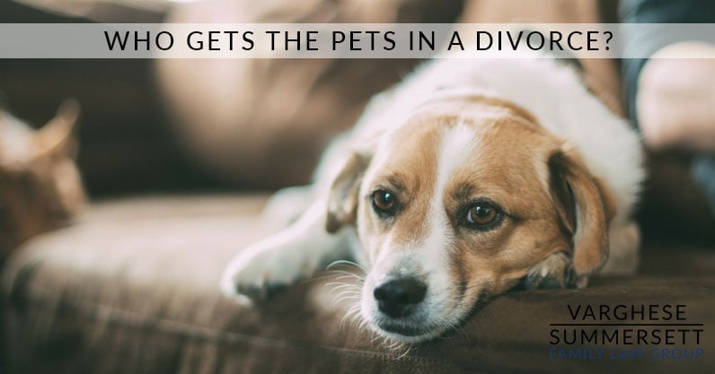 ¿Quién se queda con las mascotas en un divorcio?