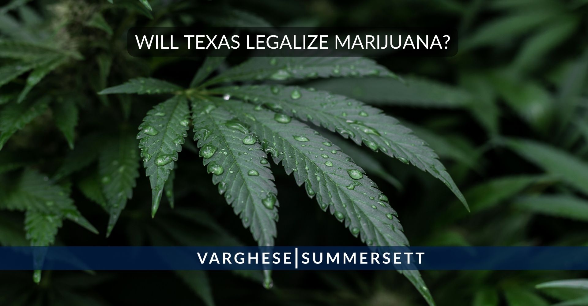 ¿se legalizará la marihuana en texas?